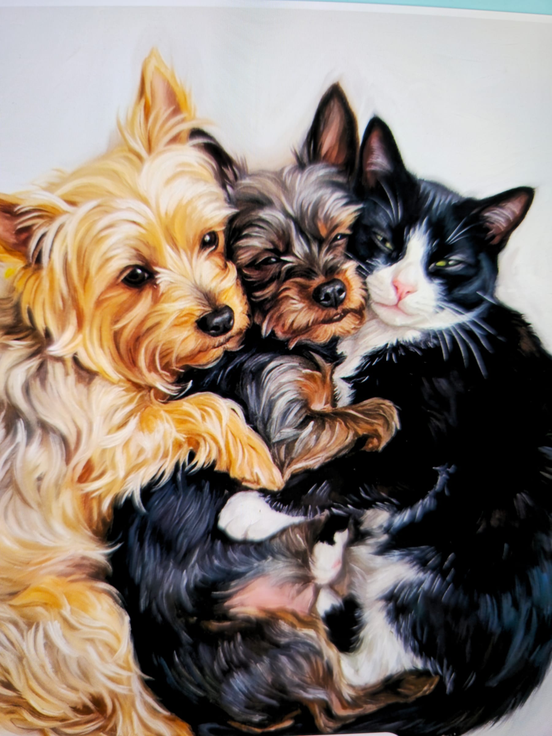 Pets